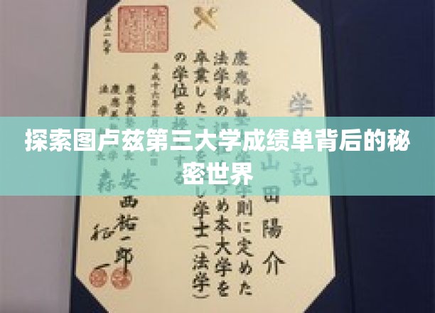 探索图卢兹第三大学成绩单背后的秘密世界