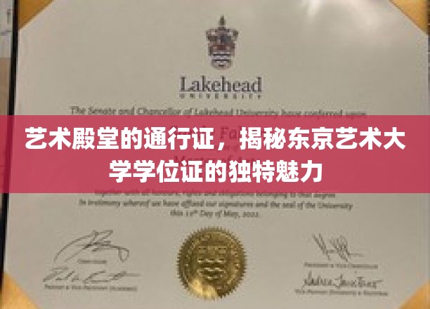 艺术殿堂的通行证，揭秘东京艺术大学学位证的独特魅力