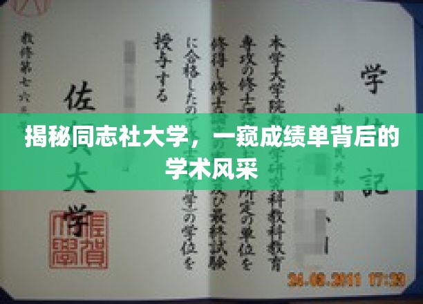 揭秘同志社大学，一窥成绩单背后的学术风采
