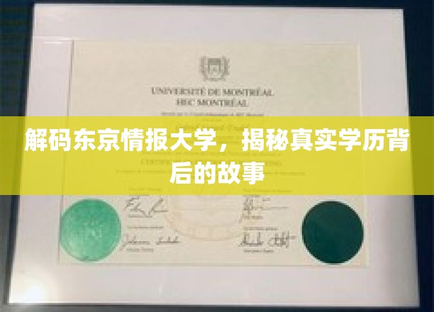 解码东京情报大学，揭秘真实学历背后的故事