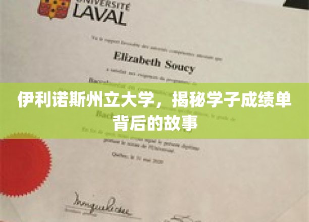 伊利诺伊州立大学，探秘学子成绩单背后的故事