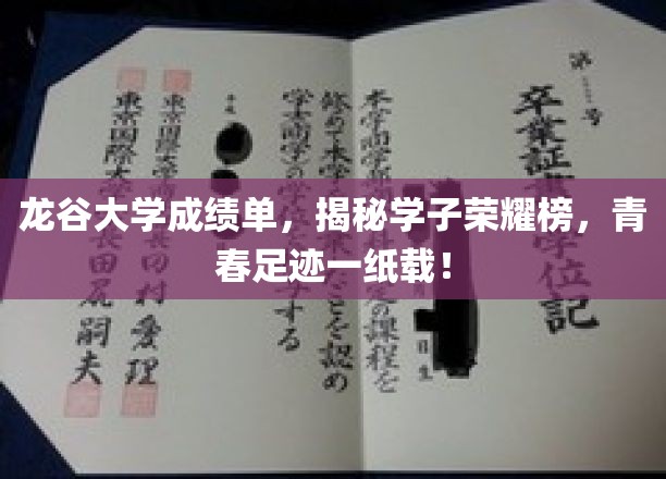龙谷大学成绩单，彰显学子辉煌成就，青春足迹，一纸载之！