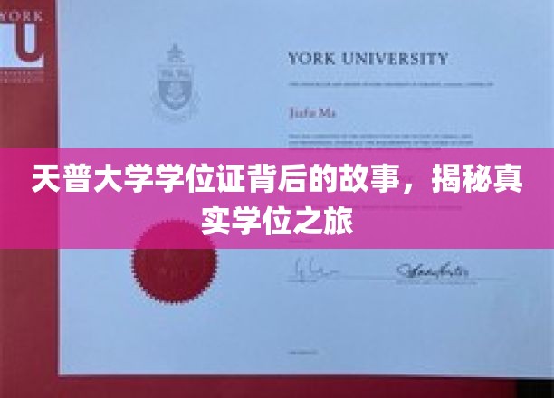 天普大学学位证背后的故事，揭秘真实学位之旅