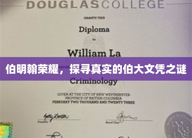 伯明翰荣耀，探寻真实的伯大文凭之谜