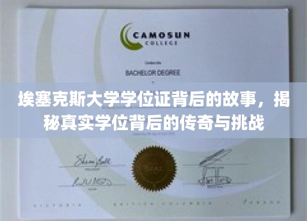埃塞克斯大学学位证背后的故事，揭开真实学位背后的传奇与挑战
