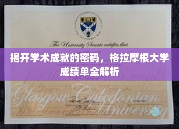 解码学术成就，探秘格拉摩根大学成绩单