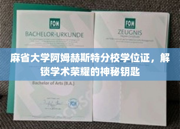 麻省大学阿姆赫斯特分校学位证，开启学术荣耀的神秘之门