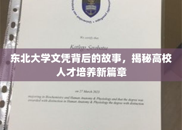 东北大学文凭背后的故事，揭秘高校人才培养新篇章