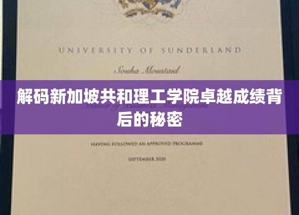 解码新加坡共和理工学院卓越成绩背后的秘密