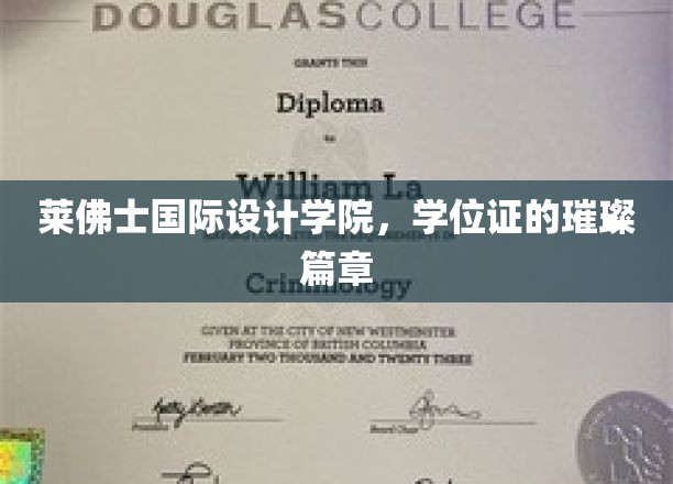 莱佛士国际设计学院，学位证的璀璨篇章