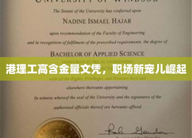 港理工高含金量文凭，职场新宠儿崛起