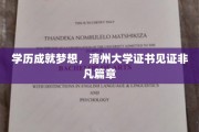 清州大学学历证书，铸就非凡成就之路