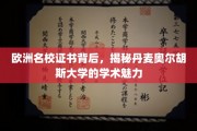 丹麦奥尔胡斯大学，探寻北欧教育明珠的学术风采