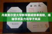 奥尔堡大学新学期成绩闪耀，学子风采与学术实力双丰收
