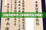 探索丹麦利利贝特大学神秘荣耀证书背后的故事