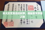 解码宾大荣耀，揭秘学霸背后的不凡历程