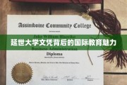 延世大学文凭，揭秘国际教育的独特魅力
