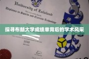 布朗大学成绩单揭秘，一窥学术精英的璀璨风采