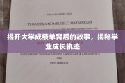 解码成绩单，探寻学子成长轨迹的秘密面纱
