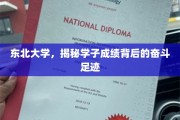 东北大学，揭秘学子成绩背后的奋斗足迹