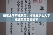 探寻威尔士大学卓越成绩背后的精彩篇章