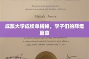 成蹊学子荣耀录，揭秘大学成绩单背后的辉煌故事