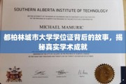 揭开都柏林城市大学学位证面纱，探寻其背后的学术辉煌