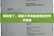 探寻里丁大学成绩单，解锁学术成就的神秘面纱