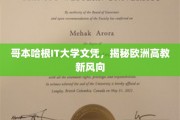 哥本哈根IT大学文凭背后的欧洲高教革新启示录
