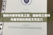 解码鹿特丹商学巅峰，荷兰商学院的璀璨学历成就探秘