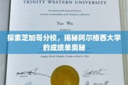 探索芝加哥分校，揭秘阿尔格西大学的成绩单奥秘