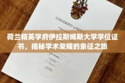 荷兰伊拉斯姆斯大学学位证书，探索学术巅峰的荣耀印记