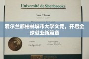 爱尔兰都柏林城市大学文凭，成就国际职场新贵之路