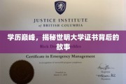 世明大学证书之谜，揭开学历巅峰背后的传奇篇章