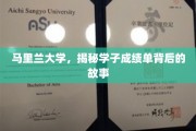 马里兰学子成绩单背后，一场不为人知的学术旅程