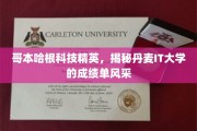 丹麦IT精英风采揭秘，哥本哈根科技大学成绩单背后的故事