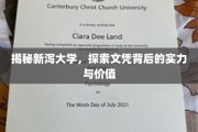 新泻大学实力揭秘，探寻学历背后的真谛与价值