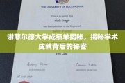 探秘谢菲尔德大学，成绩单背后的学术传奇