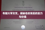 布朗大学文凭揭秘，名校光环下的实力与价值探秘
