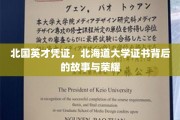 北国骄子荣耀足迹，北海道大学证书背后的传奇篇章