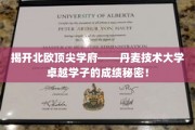 解码丹技精英，揭秘丹麦技术大学顶尖学子非凡成就之路