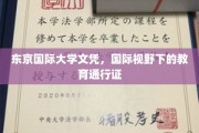 跨国认可的教育通行证，东京国际大学文凭的全球影响力