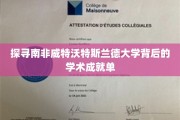 南非威特沃特斯兰德大学，揭秘学术殿堂的辉煌足迹