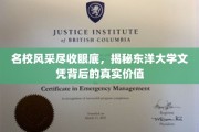 东洋大学文凭魅力揭秘，名校光环下的真实实力与价值