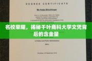 千叶商科大学文凭揭秘，名校光环下的真实价值深度解析