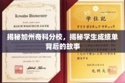 加州奇科分校揭秘，揭开学生成绩单背后的精彩篇章