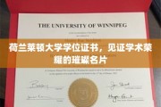 探寻荷兰莱顿大学学位证书，成就非凡学术之旅的荣耀印记