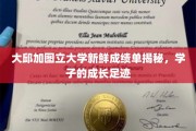 解码青春足迹，大邱加图立大学学子成绩单背后的成长故事