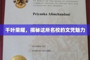解码千叶荣耀，名校文凭的非凡吸引力