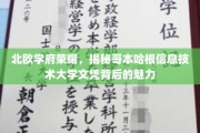 探寻哥本哈根信息技术大学，北欧教育明珠的文凭奥秘